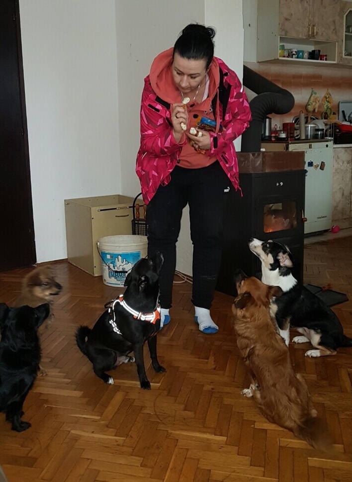Aleks Malic Hands4Animals e.V.
