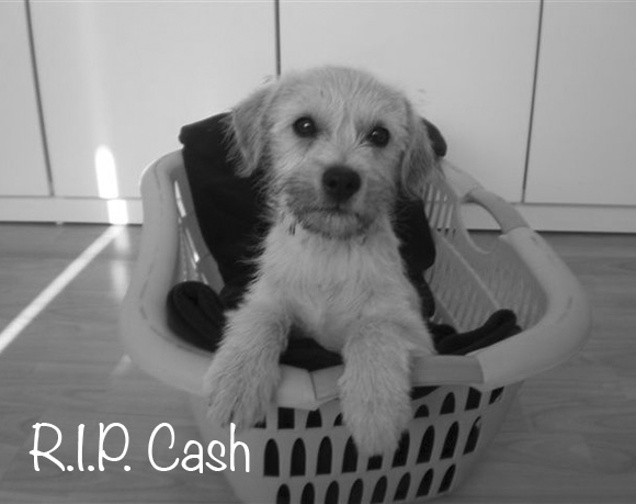Cash †