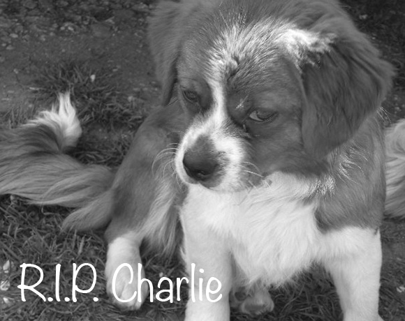 Charlie †