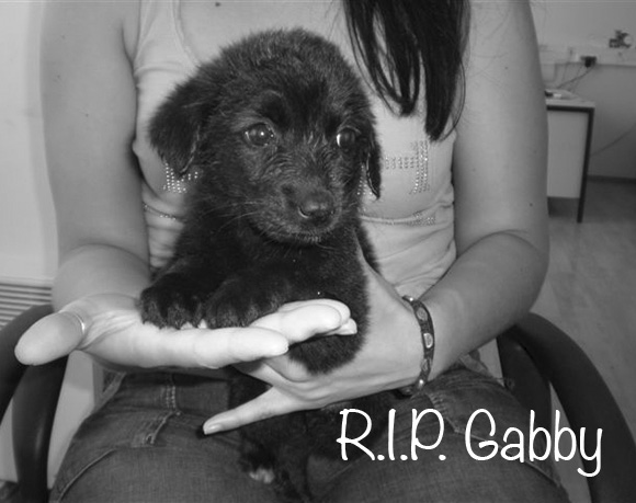 Gabby †