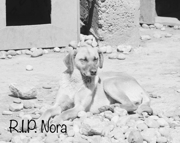 Nora †
