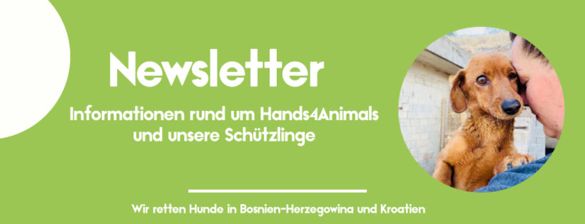 Tierschutznewsletter Wir retten Hunde in BosnienHerzegowina und