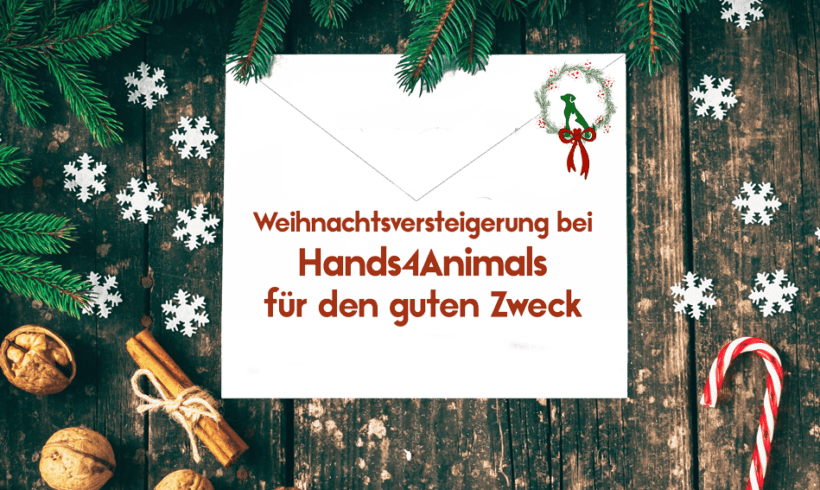 Weihnachtsversteigerung für unsere Tiere Weihnachtsversteigerung für unsere Tiere