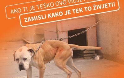 KETTENHALTUNG IN KROATIEN VERBIETEN