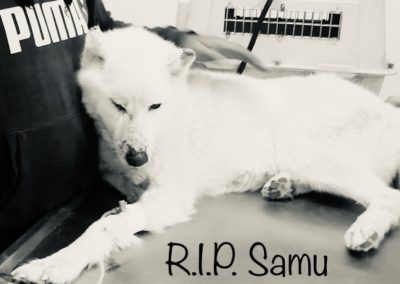 Samu †