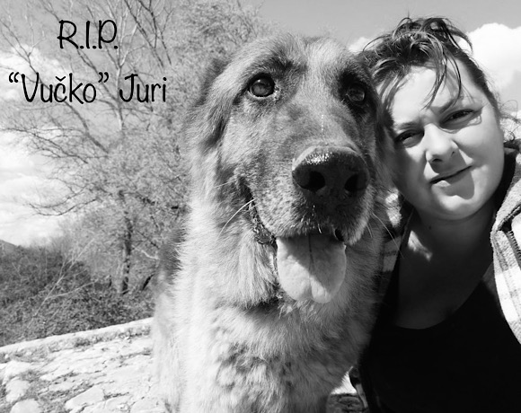 💔 Wir nehmen Abschied von Juri 💔