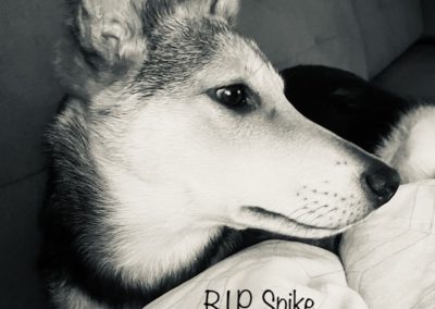 Spike †