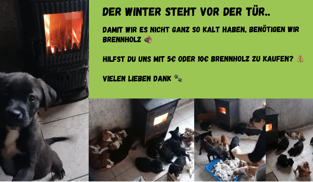 Der Winter steht vor der Tür.. Wir benötigen dringend Brennholz für die Kleinsten und Schwächsten in unserem Tierheim