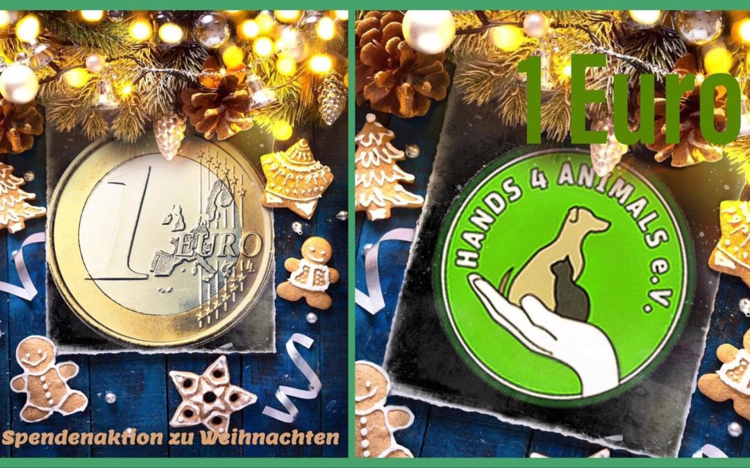 🎄 Unsere 1€ Weihnachts-Spendenaktion startet heute! Machst du mit? 🎄