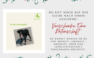 🎄 Du bist noch auf der Suche nach einem Geschenk? 🎁