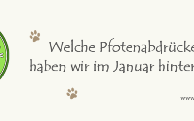 +++ Was war im Januar los? +++