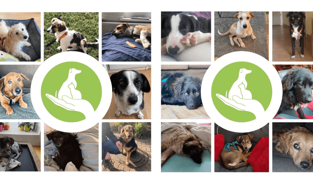 Willkommen in Deutschland