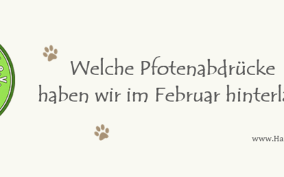 +++ Was war im Februar los? +++