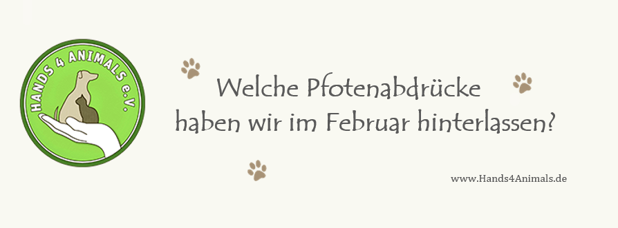 +++ Was war im Februar los? +++