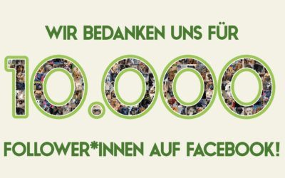 ❗️ 10.000 FOLLOWER – Vielen Dank! Helft ihr unseren Hunden weiterhin? ❗️