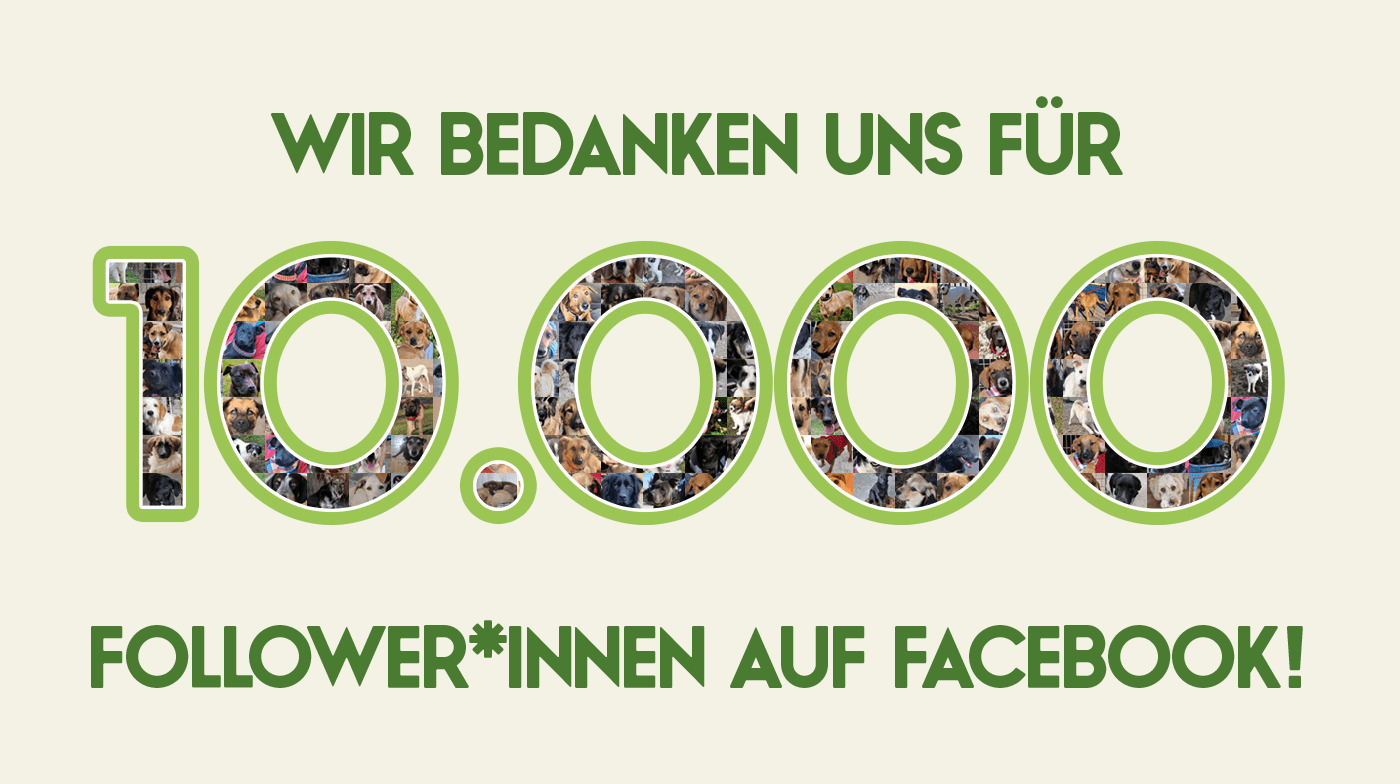 10k