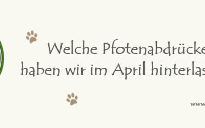 +++ Was war im April los? +++