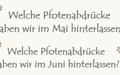 +++ Was war im Mai und Juni los? +++