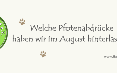 +++ Was war im August los? +++