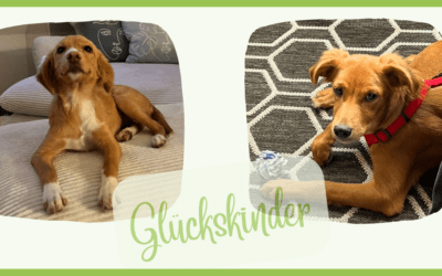🍀 Unsere heutigen Glückskinder sind die Geschwister Betty & Luuk 🍀