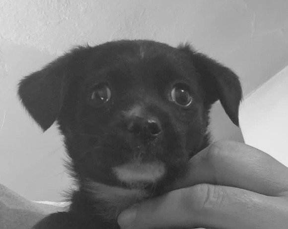 Daisy 🌈