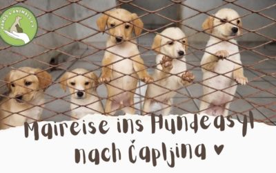 Hilf mit deiner Sachspende – Unser Besuch im Asyl ♥