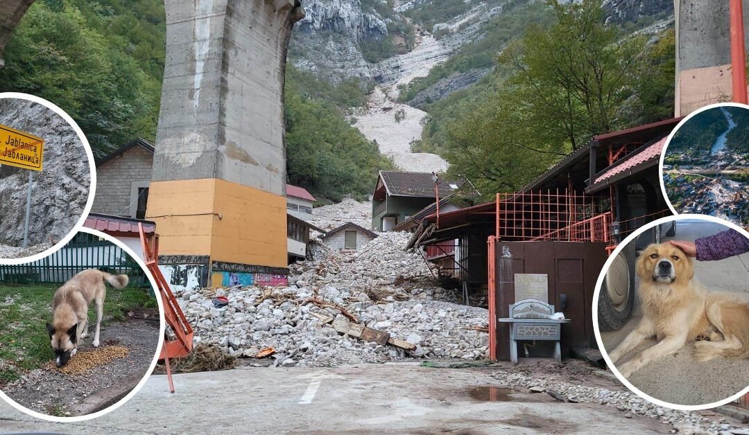 🚨 Verheerende Überschwemmungen in Bosnien und Herzegowina 🚨