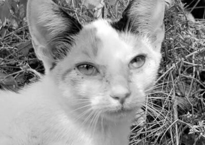 Frederike🌈