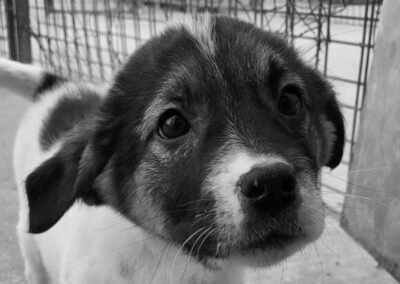 Ronja🌈