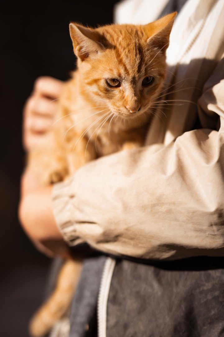 Hands4Animals-Max-00 (1)