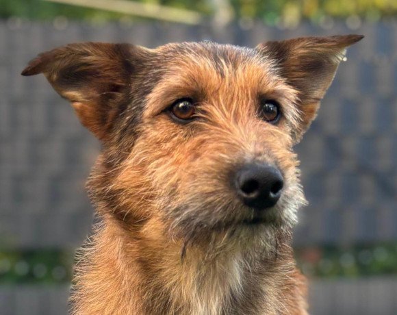 Peaches ♀️ in 51143 Köln