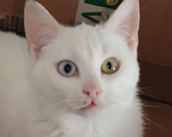 Bjela ♀️