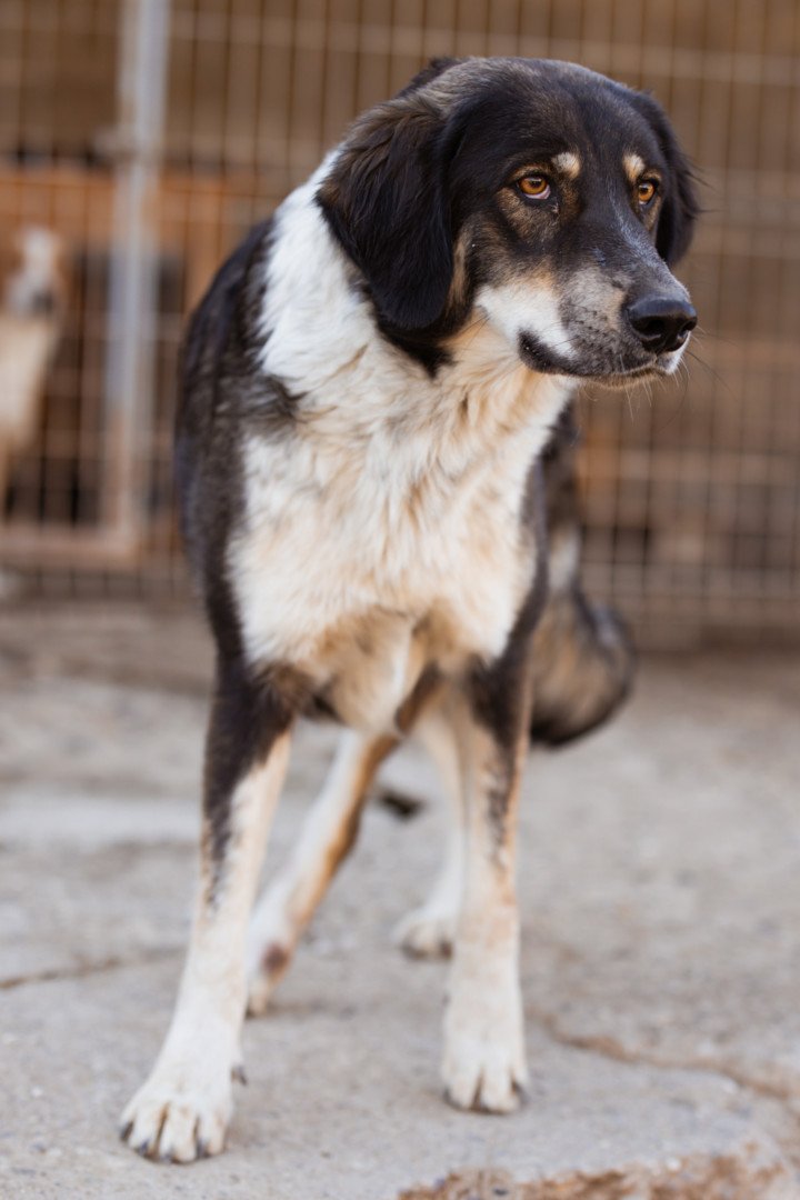 Hands4Animals-Feyra-00-21