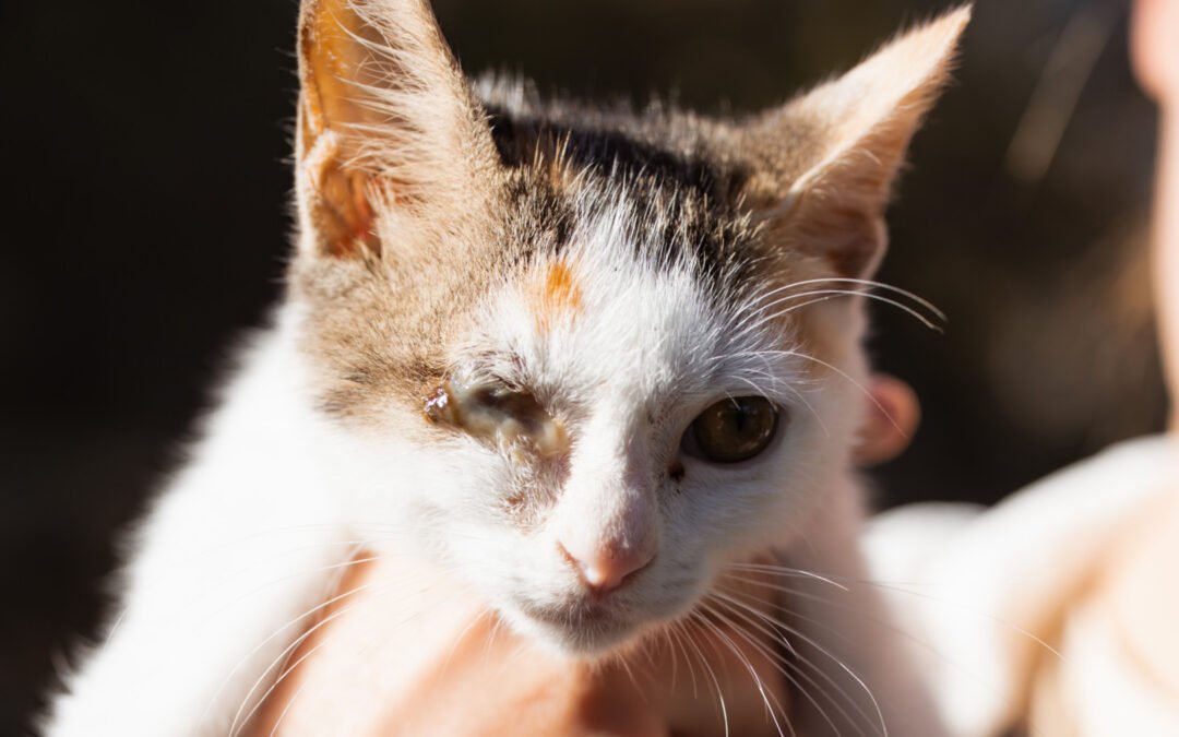 Grace O’Malley ♀️