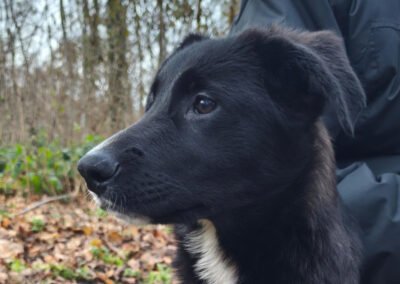 Eliana ♀️ in 30625 Hannover