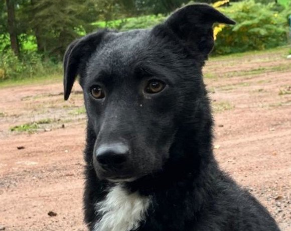 Elsie ♀️ in 09648 Mittweida