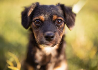 Koharu ♂️ in 48153 Münster