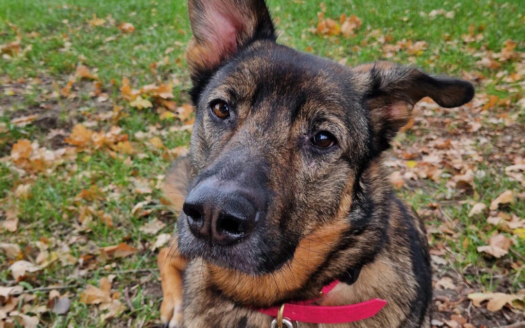 Nelli ♀️ in 25474 Bönningstedt