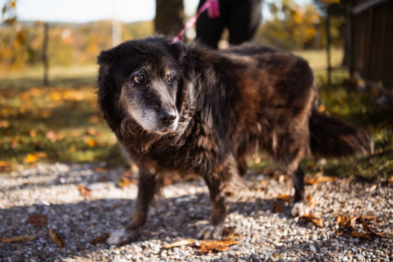 Hands4Animals-Srecka-00 (42)