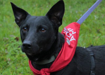 Theo ♂️ in 18249 Bernitt