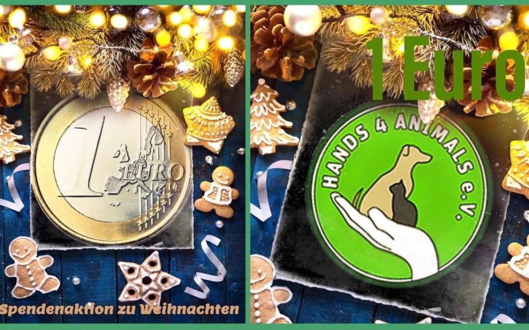 🎄 Ein Weihnachtseuro für Pfoten in Not 🎁