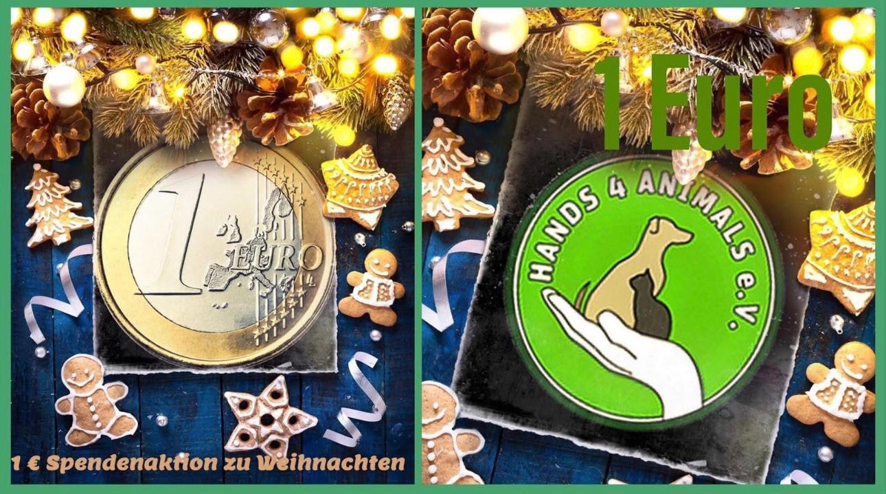 00f82203-9e12-4ed3-a00a-d6c89d1ae769