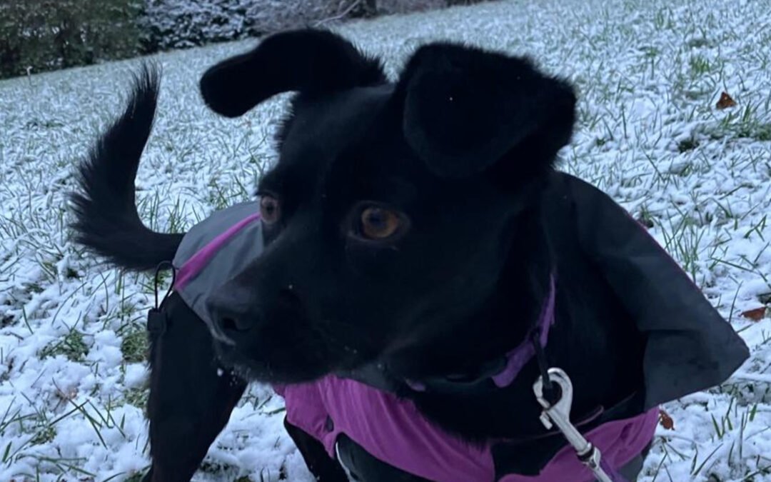 Funny ♀️ in 50674 Köln