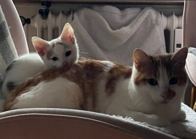 Gia ♀️ & Lio ♂️ in 22083 Hamburg