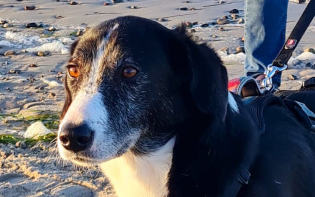 Mona ♀️ in 01640 Coswig