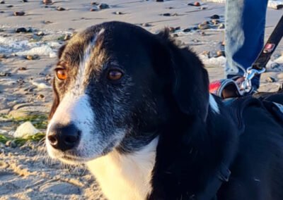 Mona ♀️ in 01640 Coswig