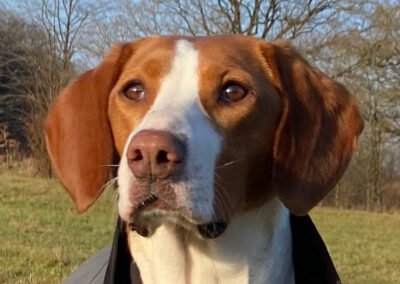 Rosie ♀️ in 23617 Stockelsdorf