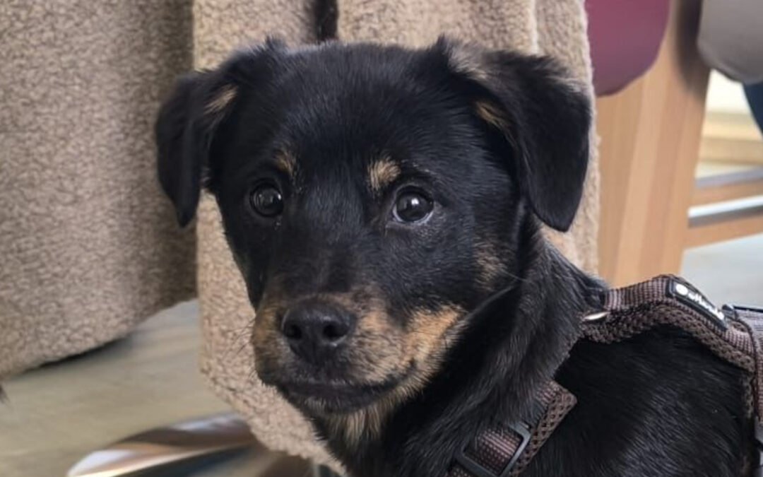 Babsi ♀️ in 45147 Essen