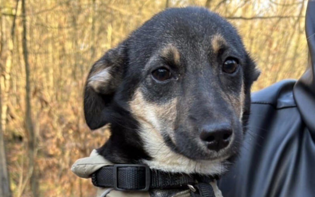 Elke ♀️ in 45259 Essen