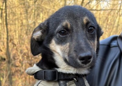 Elke ♀️ in 45259 Essen